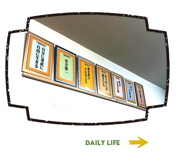 bnrhalf_daily